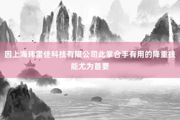 因上海玮雷佳科技有限公司此掌合手有用的降重技能尤为首要