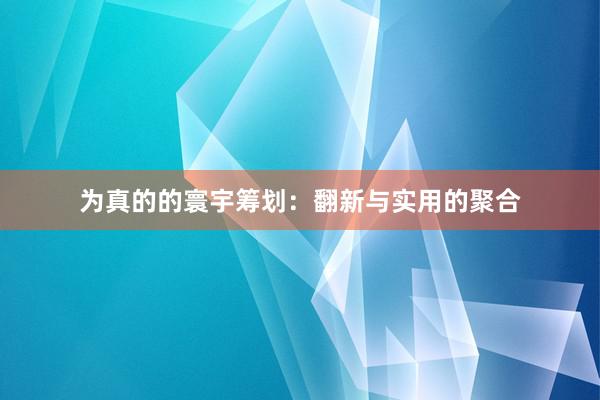 为真的的寰宇筹划：翻新与实用的聚合
