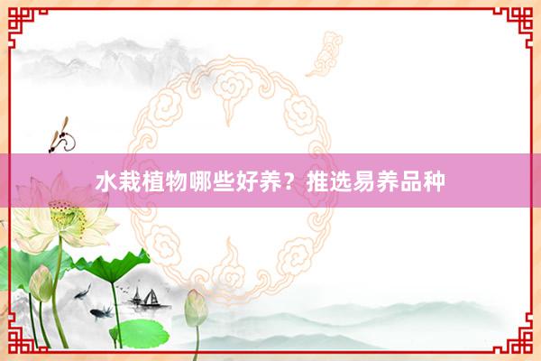 水栽植物哪些好养？推选易养品种