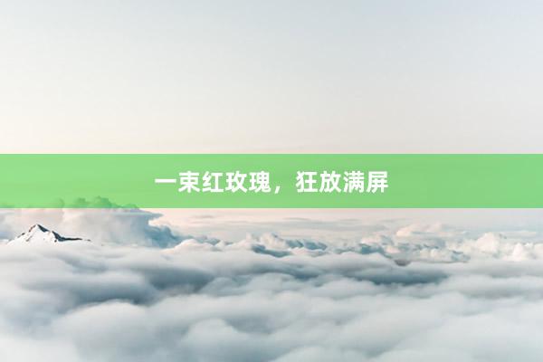 一束红玫瑰,狂放满屏