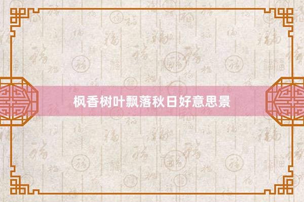 枫香树叶飘落秋日好意思景