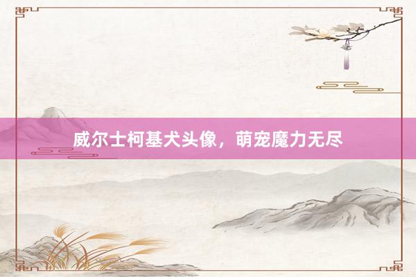威尔士柯基犬头像,萌宠魔力无尽