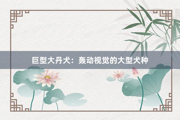 巨型大丹犬：轰动视觉的大型犬种